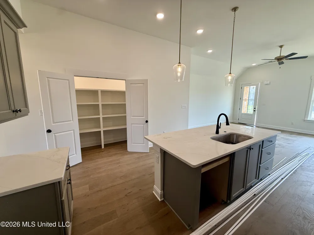 807 Quitman Court Nesbit, MS 38651