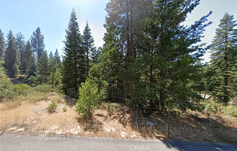 40541 Wild Rose Shaver Lake, CA 93664