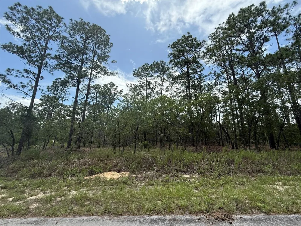 TBD TREE TOP ROAD Dunnellon, FL 34431