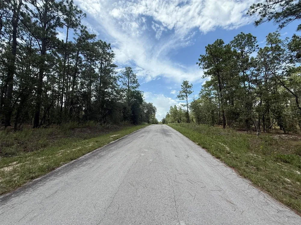 TBD TREE TOP ROAD Dunnellon, FL 34431