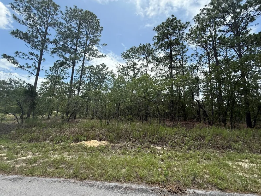 TBD TREE TOP ROAD Dunnellon, FL 34431
