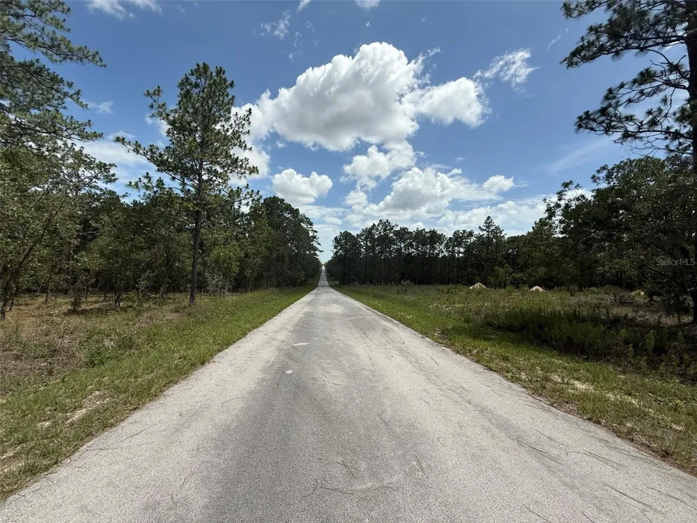 TBD TREE TOP ROAD Dunnellon, FL 34431