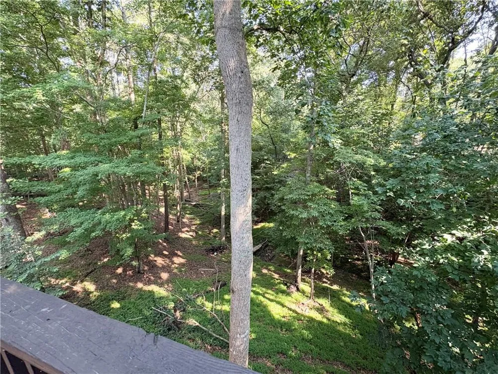 1511 Harbor Watch Court Woodstock, GA 30189