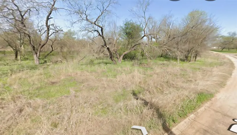 Big Horn Drive Bridgeport, TX 76426