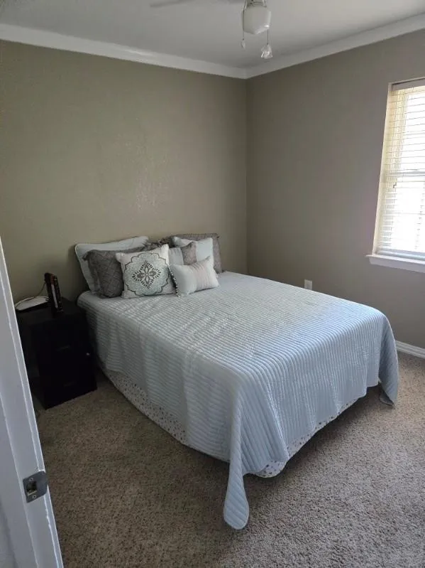 2420 Timberlake Drive Irving, TX 75062