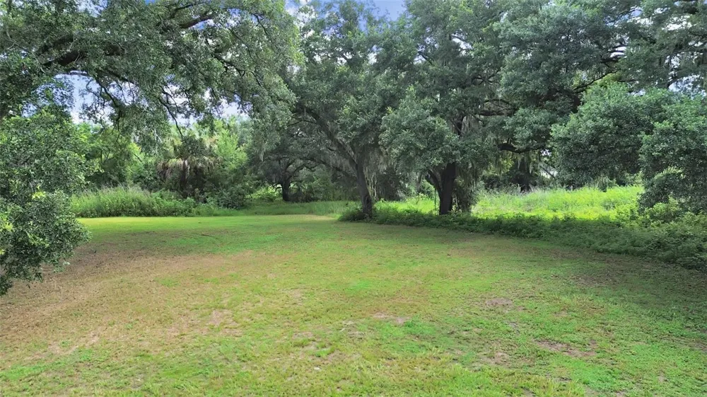 1729 FATS LANE Seffner, FL 33584
