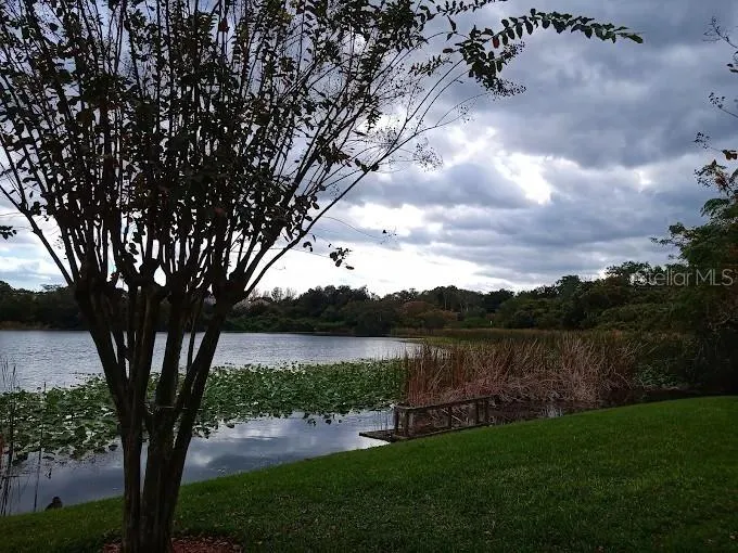 145 PEARL LAKE CAUSEWAY #204 Altamonte Springs, FL 32714
