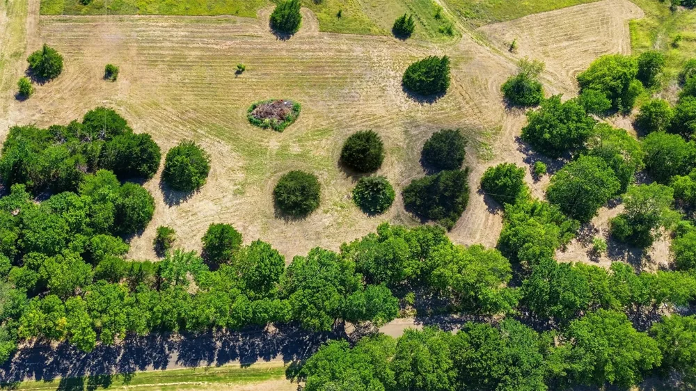 Stafford Italy, TX 76651