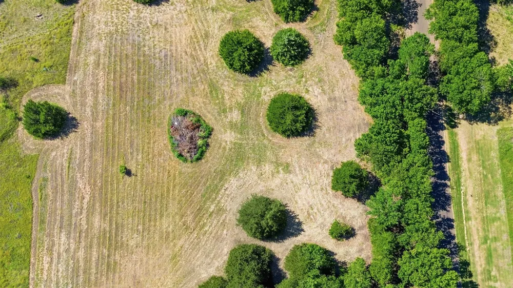 Stafford Italy, TX 76651