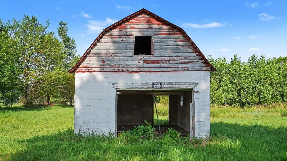E Lincoln Road Bethany Township, MI 48880