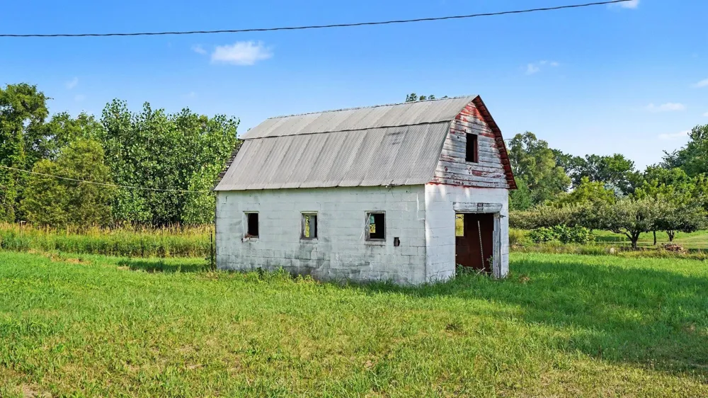 E Lincoln Road Bethany Township, MI 48880