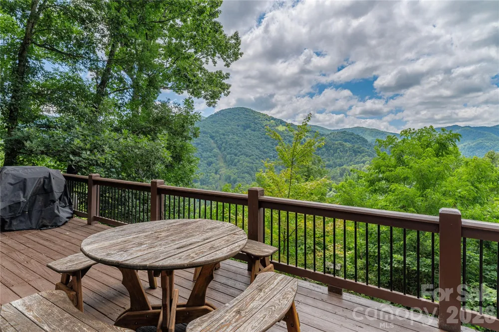 171 Jade Drive Clyde, NC 28721