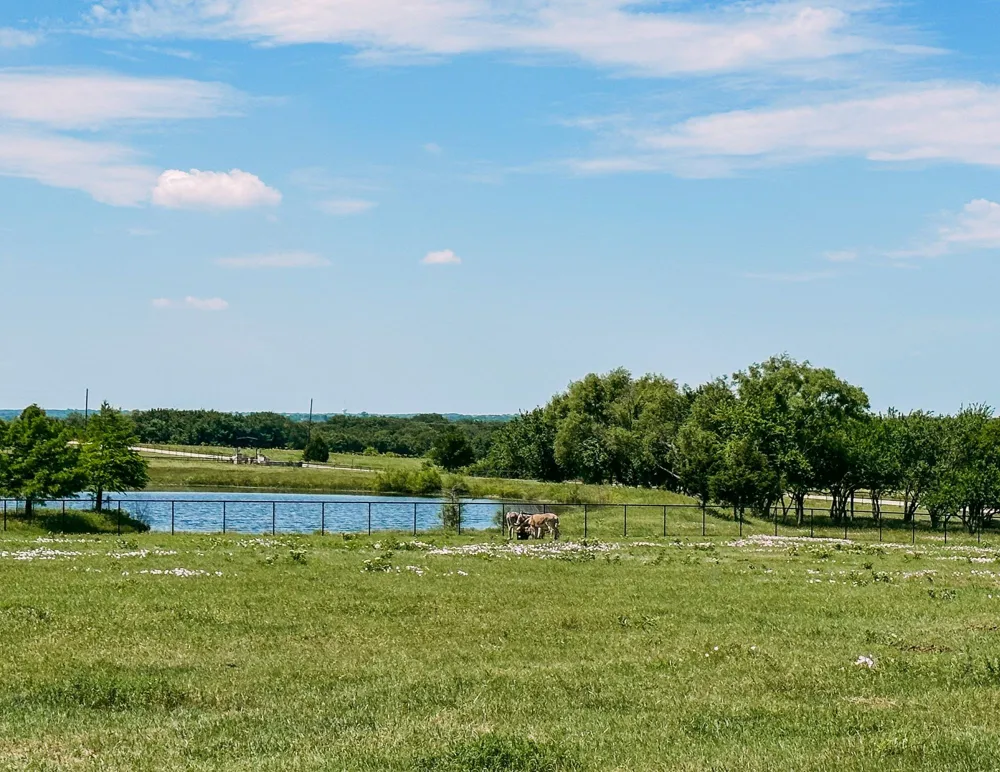 6865 CR 177 ROAD Celina, TX 75009