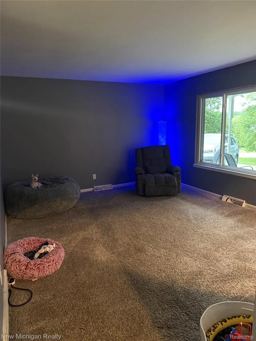 12335 Erika Street Hartland Township, MI 48353