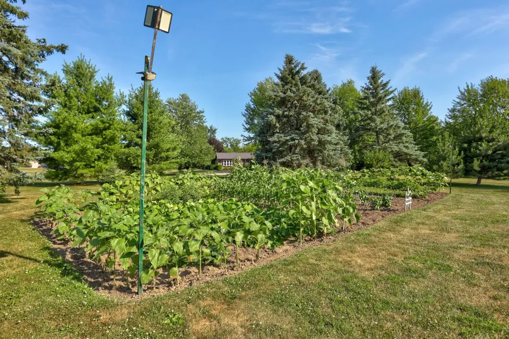 1090 Block Road Blumfield Township, MI 48757
