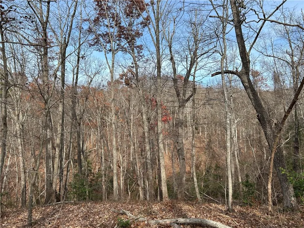 0 Hwy 105 Baldwin, GA 30511