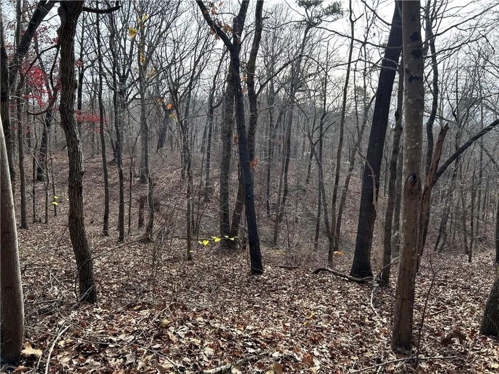 0 Hwy 105 Baldwin, GA 30511