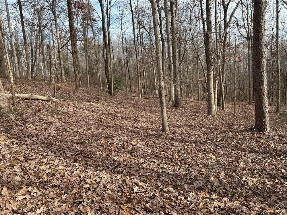 0 Hwy 105 Baldwin, GA 30511