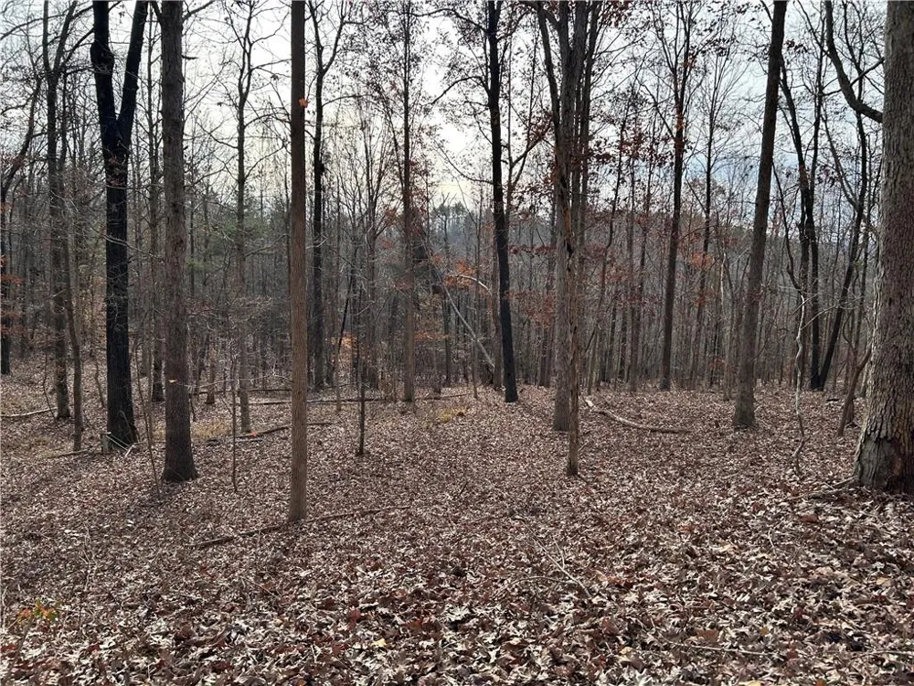 0 Hwy 105 Baldwin, GA 30511