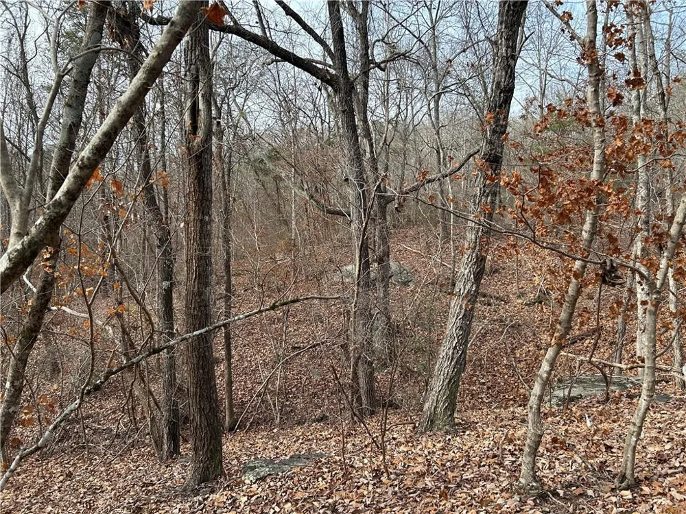 0 Hwy 105 Baldwin, GA 30511
