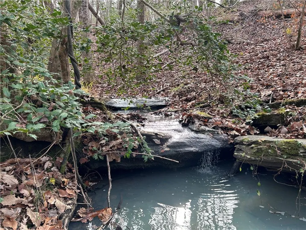 0 Hwy 105 Baldwin, GA 30511