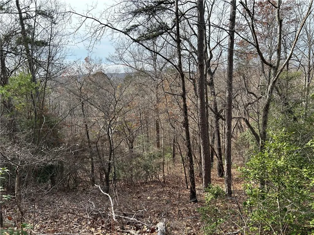 0 Hwy 105 Baldwin, GA 30511