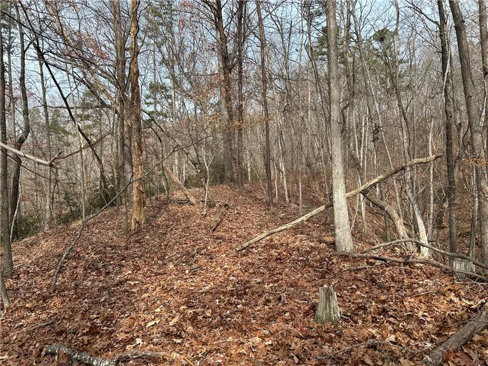 0 Hwy 105 Baldwin, GA 30511