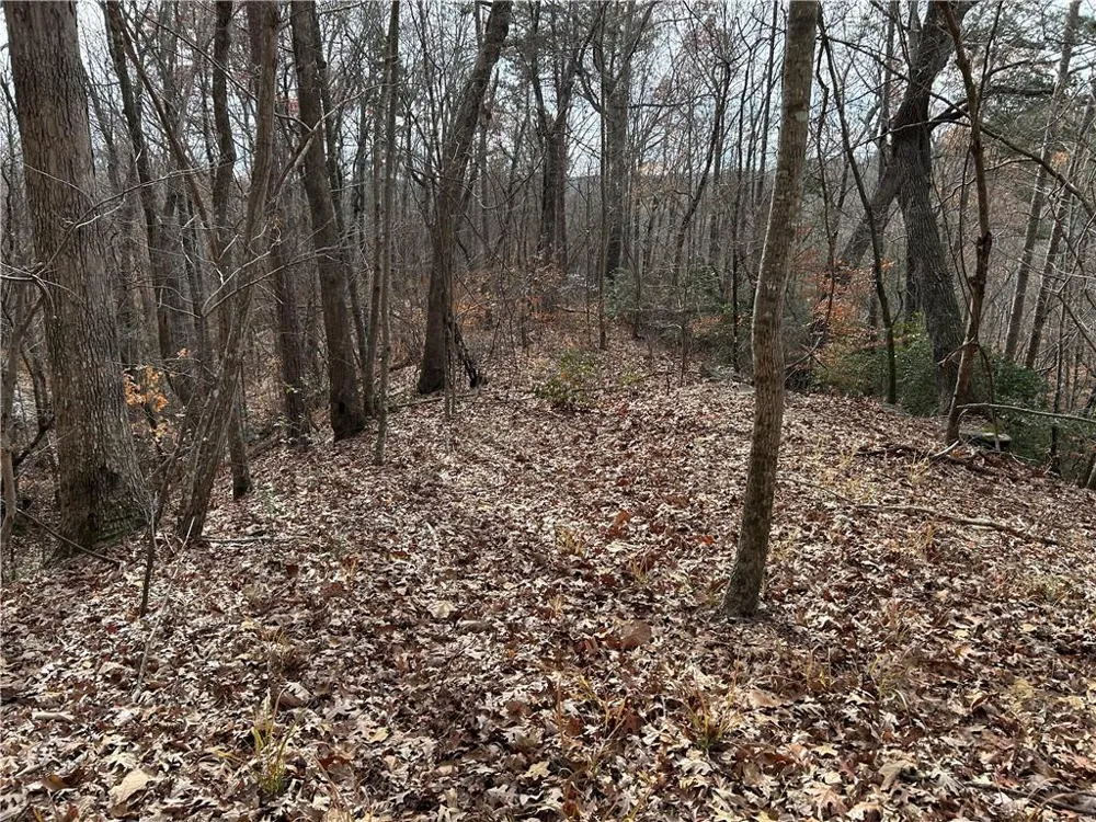 0 Hwy 105 Baldwin, GA 30511