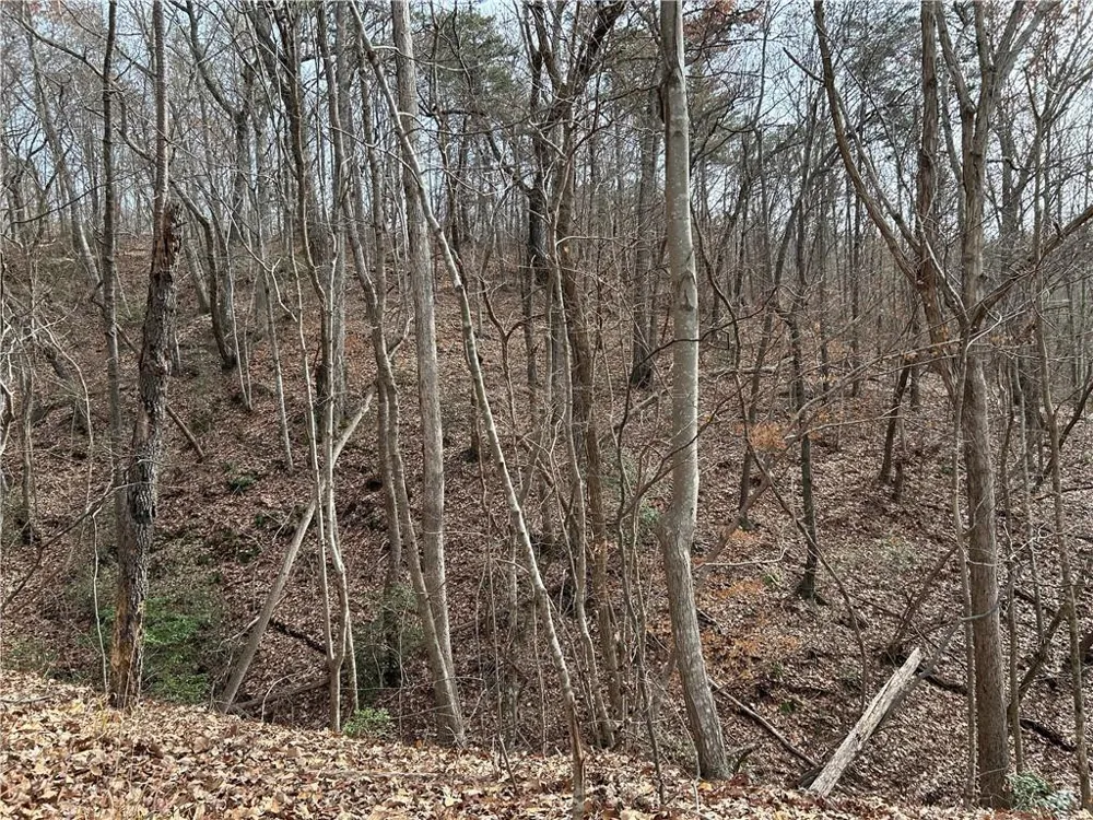 0 Hwy 105 Baldwin, GA 30511