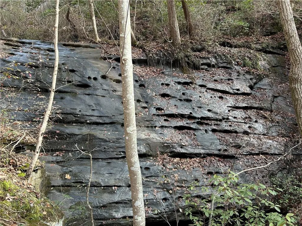 0 Hwy 105 Baldwin, GA 30511
