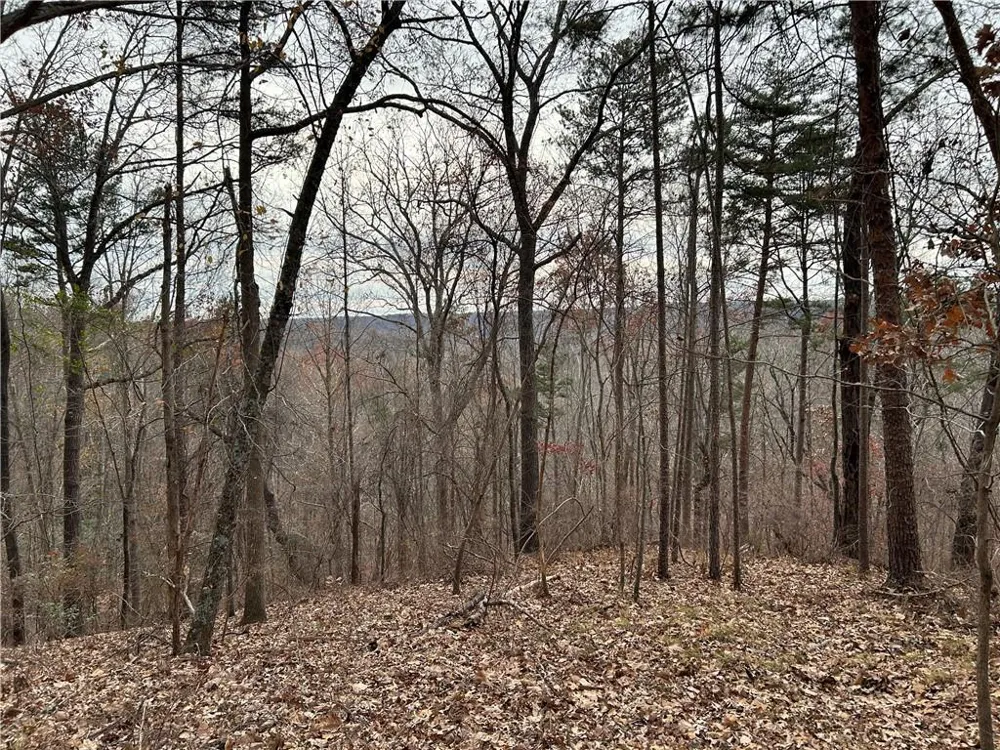 0 Hwy 105 Baldwin, GA 30511