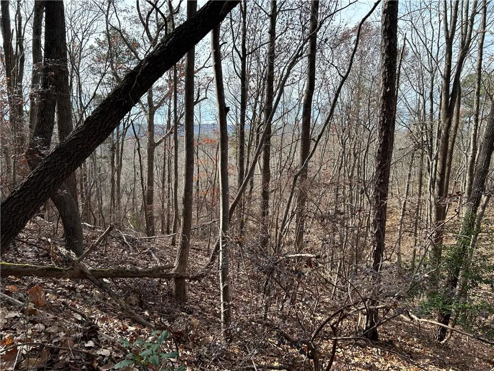 0 Hwy 105 Baldwin, GA 30511