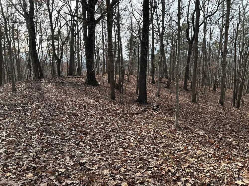 0 Hwy 105 Baldwin, GA 30511