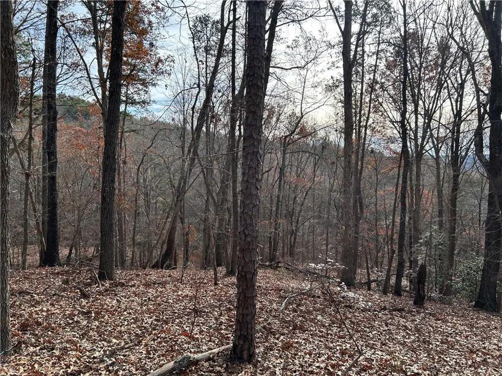 0 Hwy 105 Baldwin, GA 30511