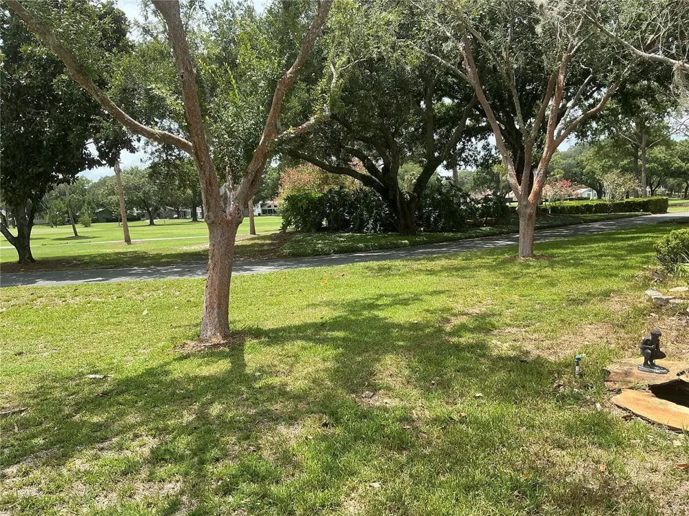 867 CORTEZ AVENUE The Villages, FL 32159