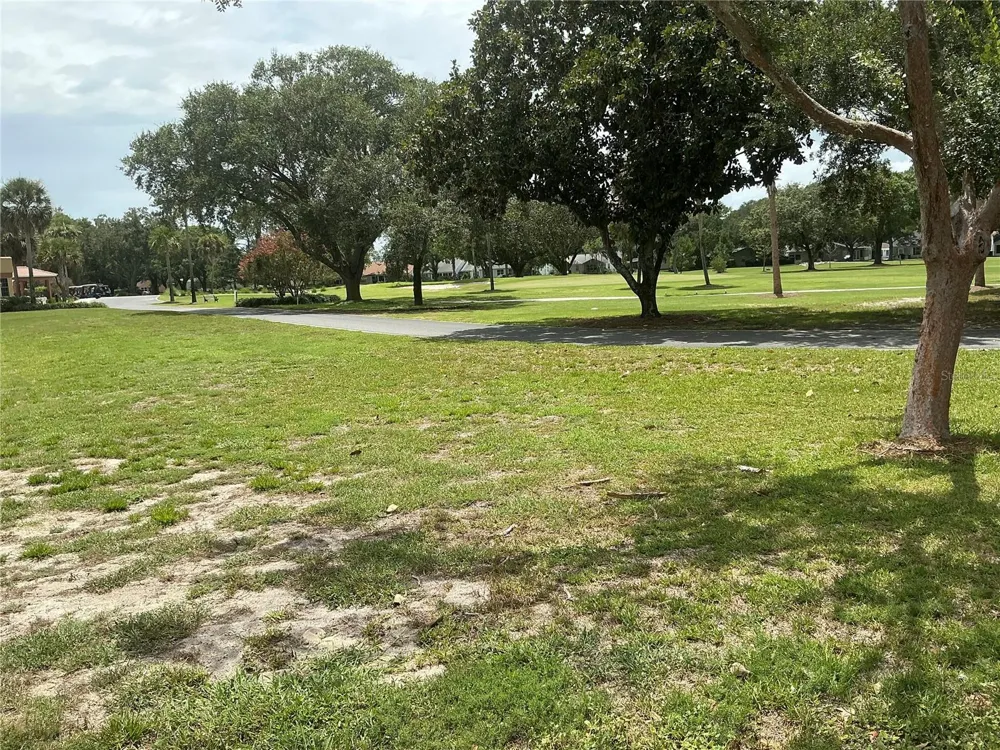 867 CORTEZ AVENUE The Villages, FL 32159