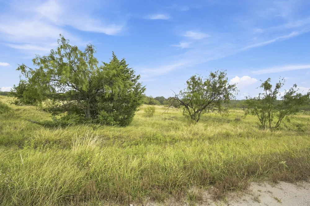 117 Private Road 354 N Hubbard, TX 76648