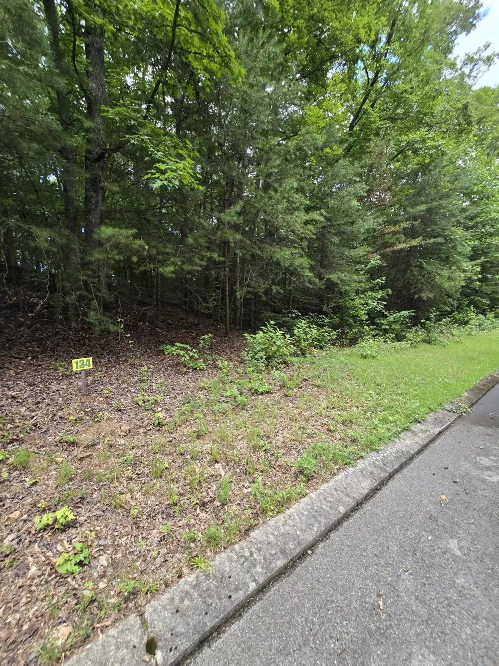 134 Lower Brow Road Dunlap, TN 37327