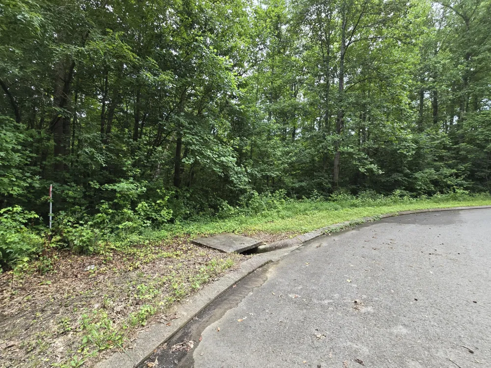 133 Lower Brow Road Dunlap, TN 37327