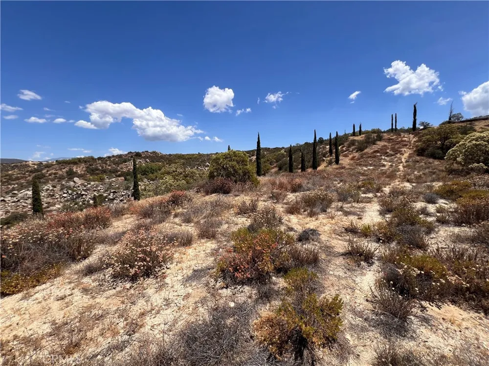 40700 Mountainside Anza, CA 92539