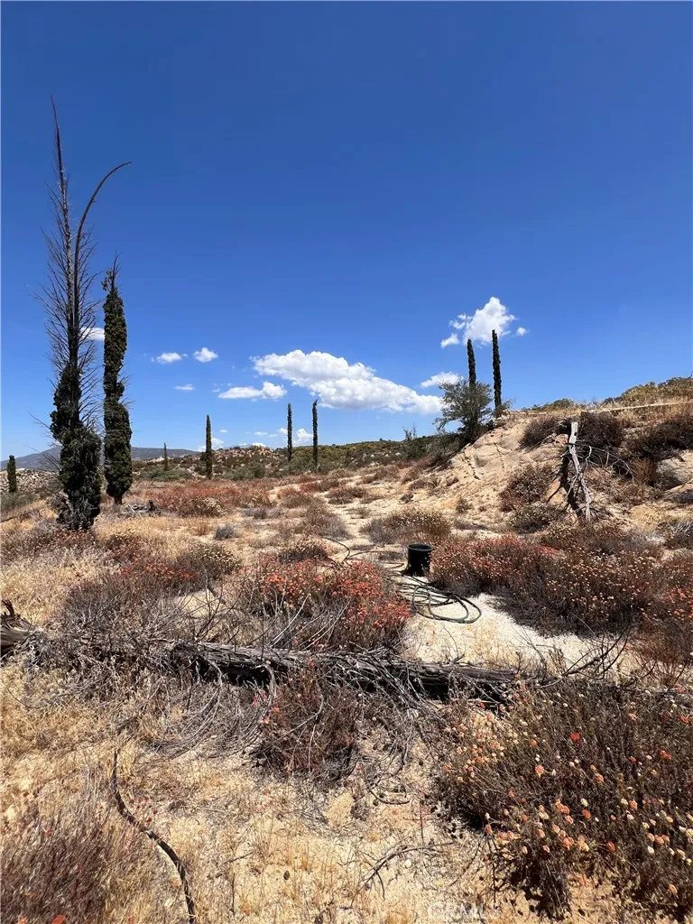 40700 Mountainside Anza, CA 92539