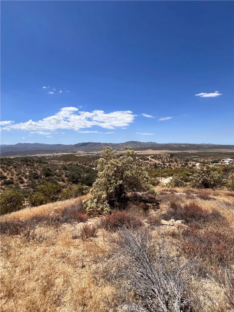 40700 Mountainside Anza, CA 92539