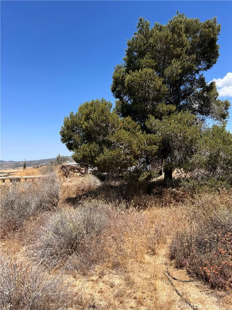 40700 Mountainside Anza, CA 92539