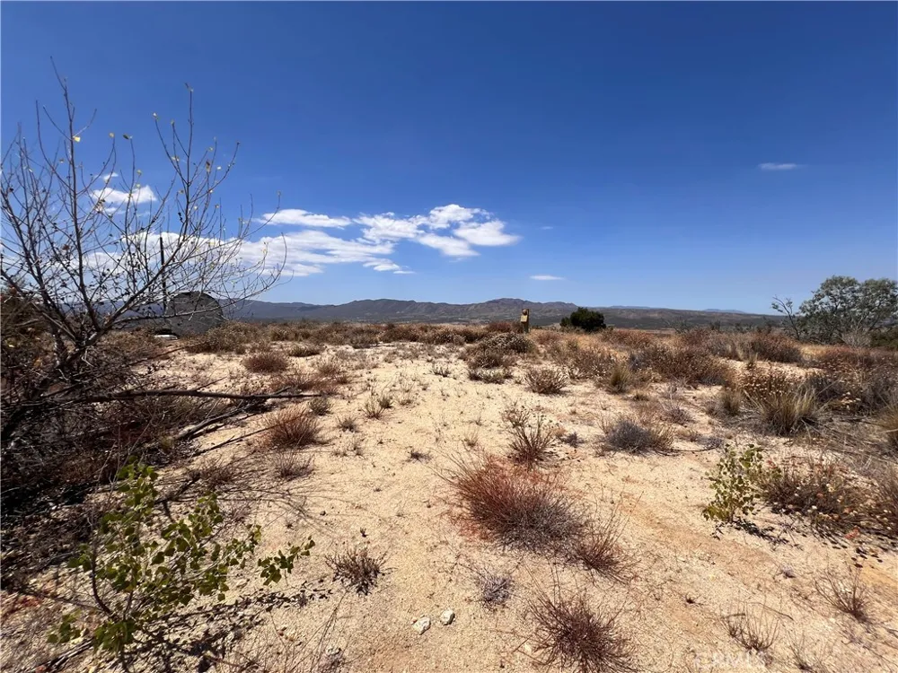 40700 Mountainside Anza, CA 92539