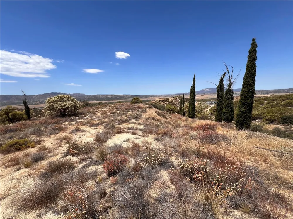 40700 Mountainside Anza, CA 92539