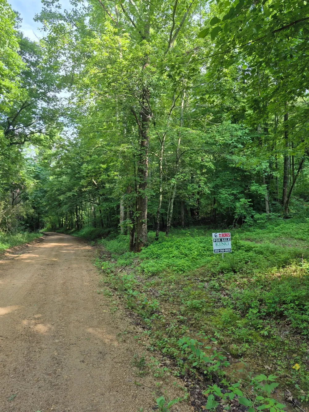 0 Co Rd 462 Lexington, AL 35648
