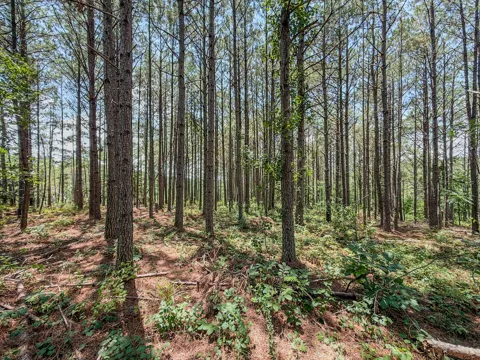 0 Big Opossum Creek Rd