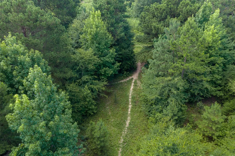 CR 3154 De Berry, TX 75639
