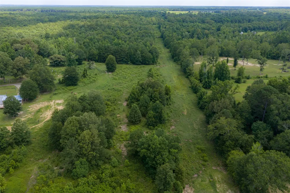 CR 3154 De Berry, TX 75639