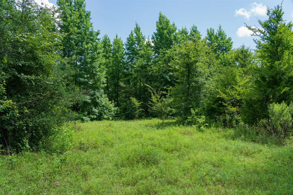 CR 3154 De Berry, TX 75639